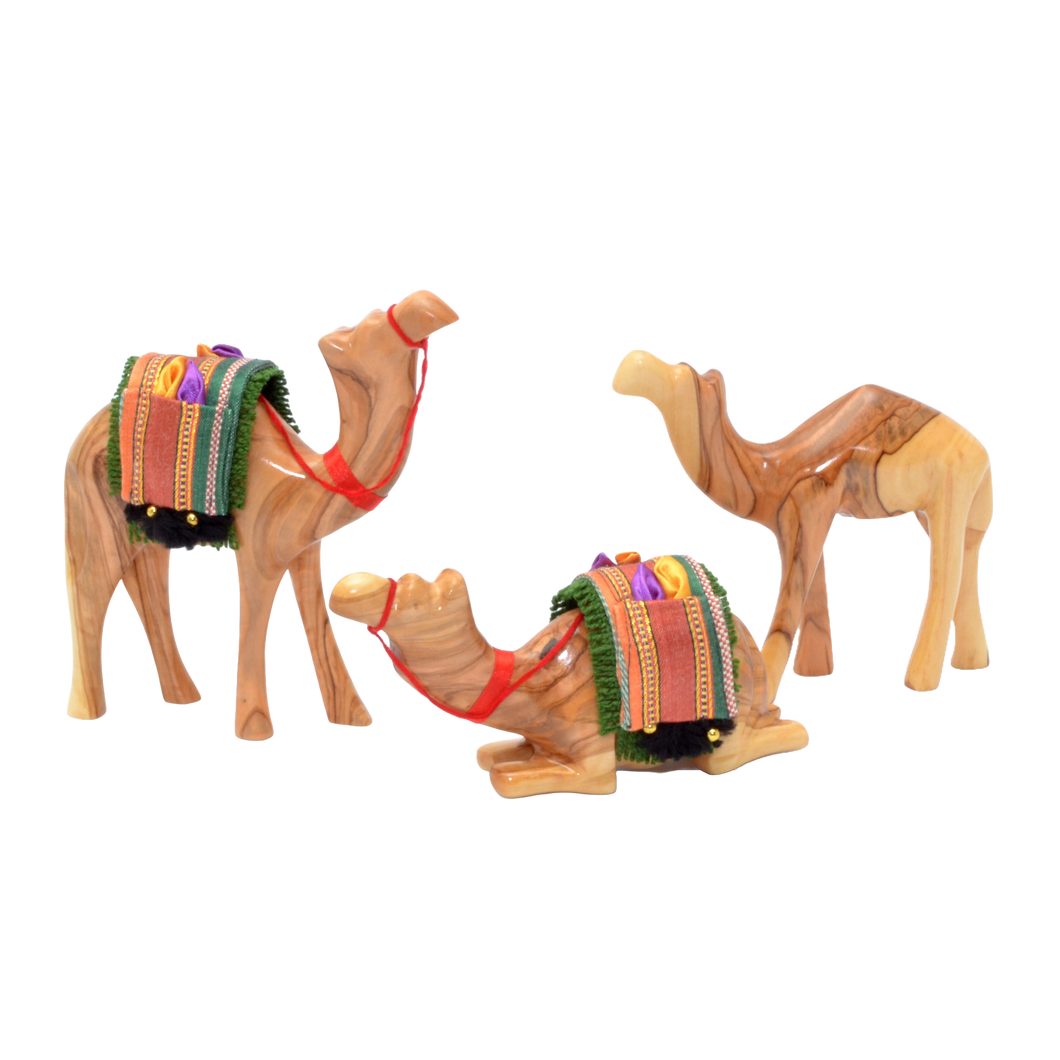 Olive Wood Camel Figures